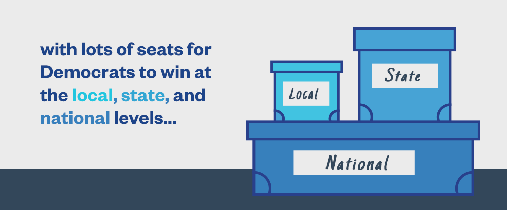 with lots of seats for Democrats to win at the local, state, and national levels