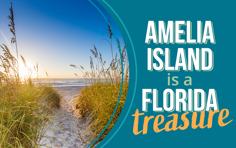 Image: Amelia Island, FL shoreline with the text at right "Amelia Island is a Florida treasure."