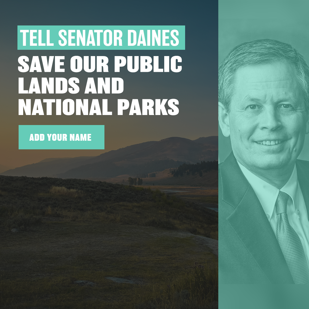 Photo of Sen Daines next to photo of Montana National Park