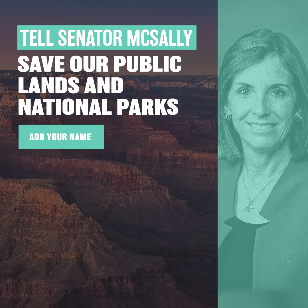 Photo of Sen McSally next to Arizona national park photo